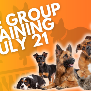 Join Us for Free Group Dog Training on July 21!